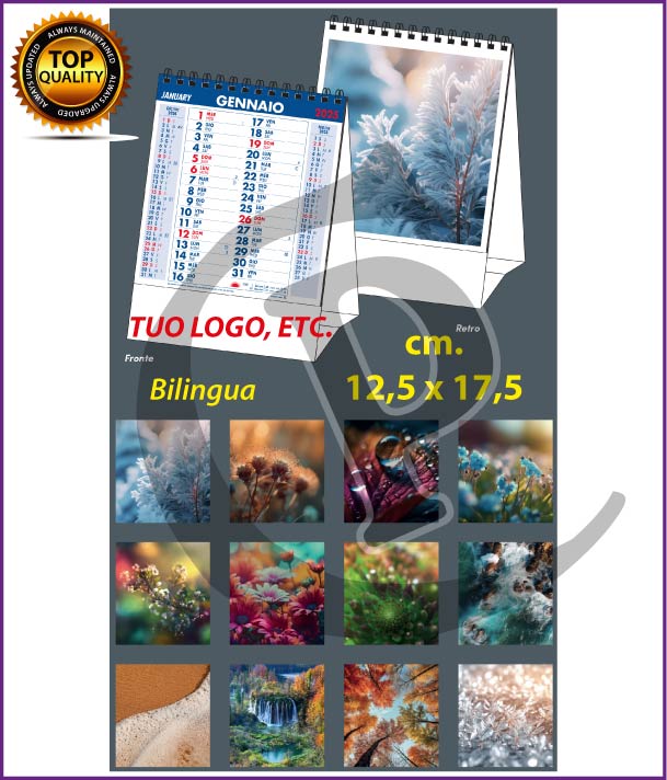 illustrati da Scrivania calendari-da tavolo 2025-personalizzati-Illustrati-da-scrivania-effetti-bilingua-t621